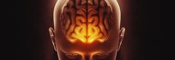 Neuromarketing e Anúncios afetivos x cognitivos