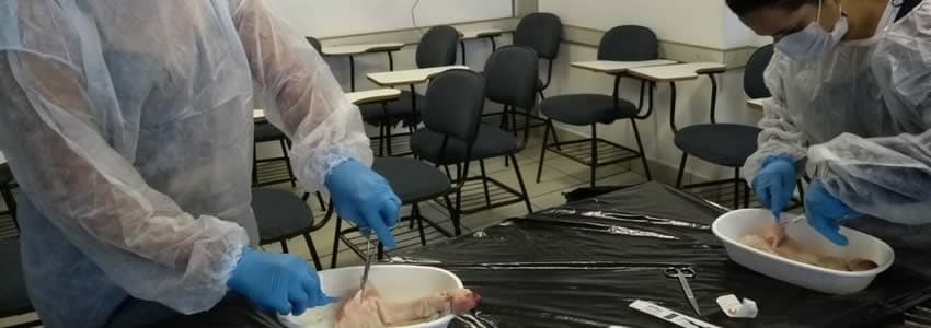 Aula prática: Características da pele – Anatomia e Fisiologia. Atenção e Emergência ao Queimado