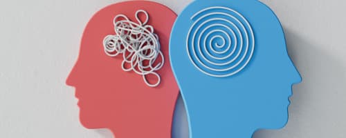 Como Entender o Comportamento das Pessoas: Conheça a Psicopedagogia