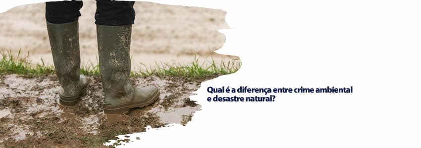 Qual é a diferença entre crime ambiental e desastre natural?