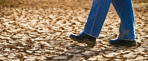 São Paulo em estado de calamidade