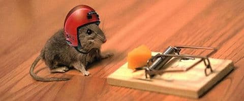 Tendência a assumir riscos é algo contagioso, aponta estudo