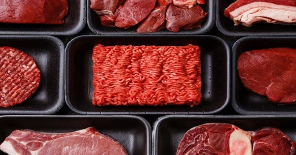 Após polêmica, diversos países restringem a importação de carne brasileira