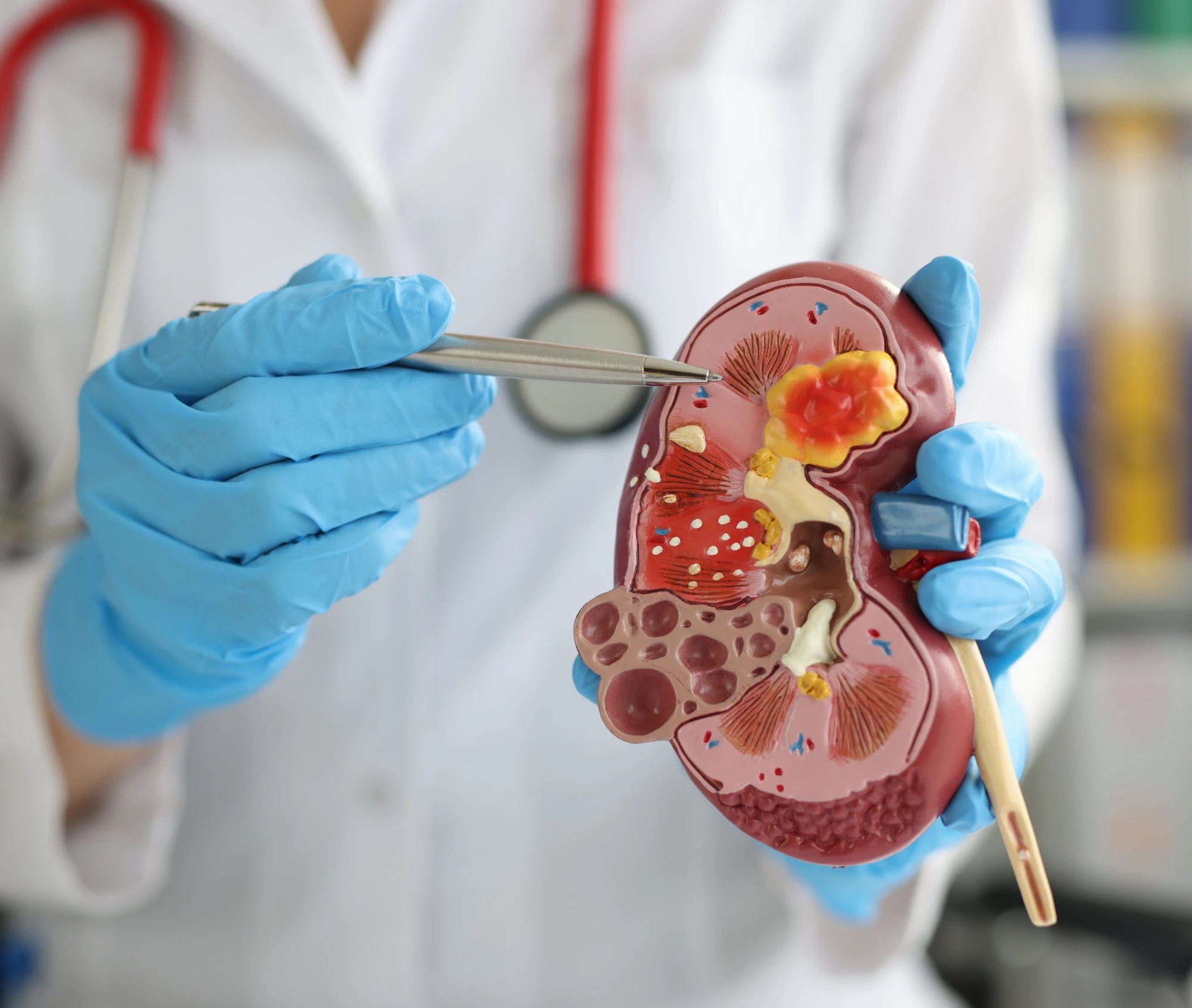 Imagem do Quais os diferenciais do curso?