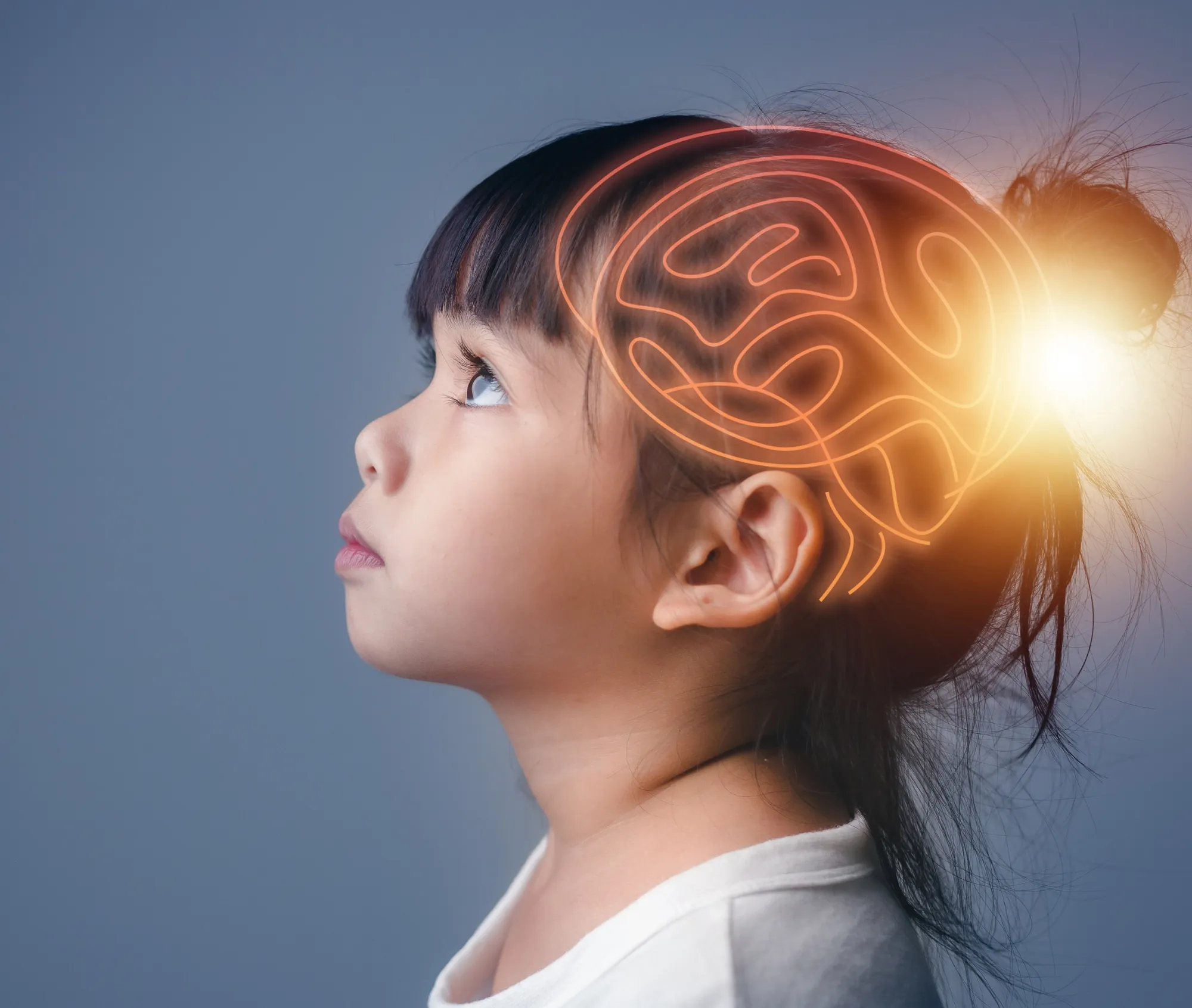 Imagem do Quais os diferenciais do curso?