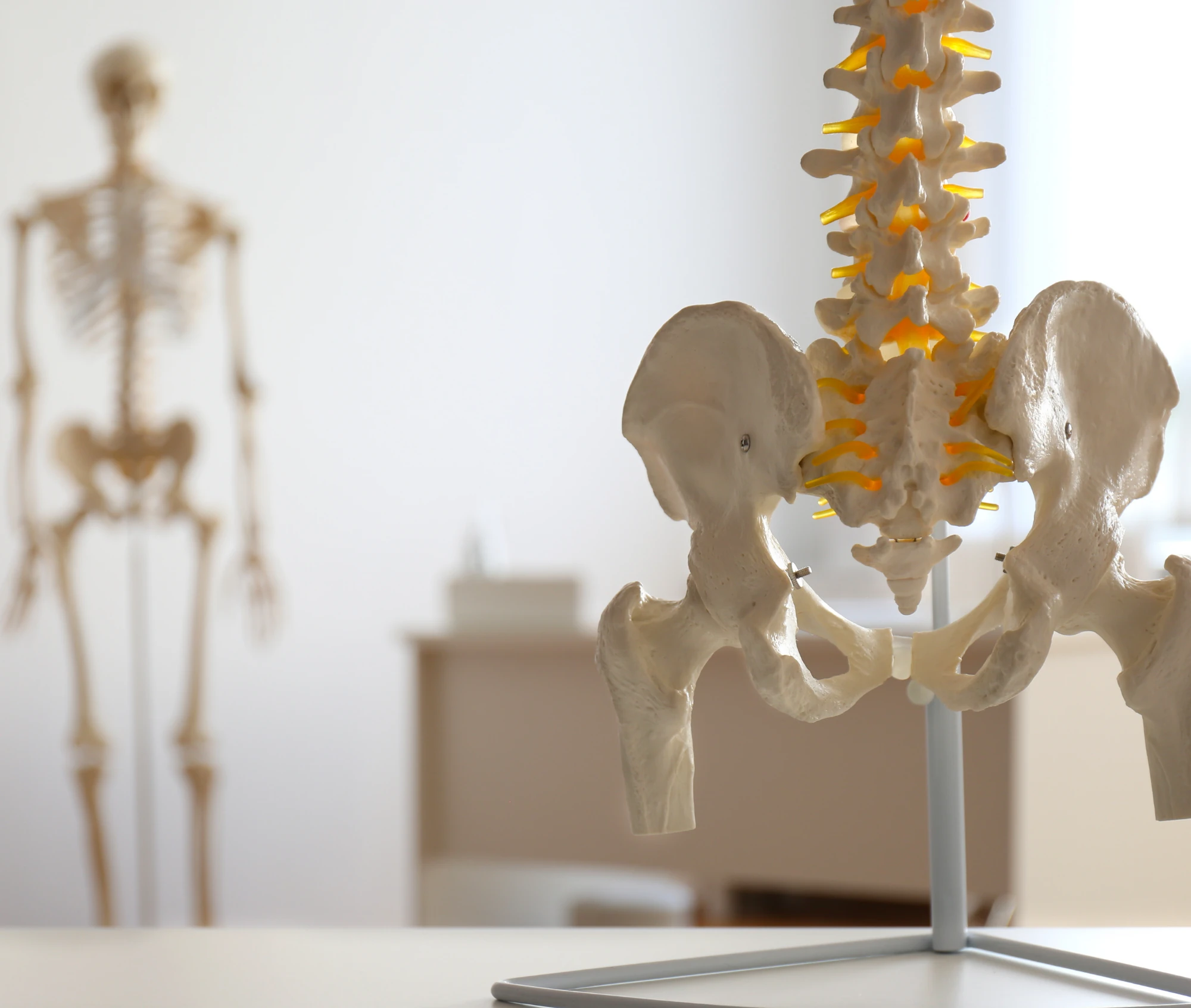 Imagem do Quais os diferenciais do curso?